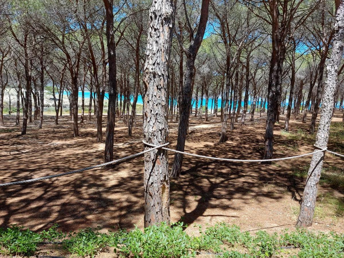 Gallura Dream Villas Budoni Dış mekan fotoğraf